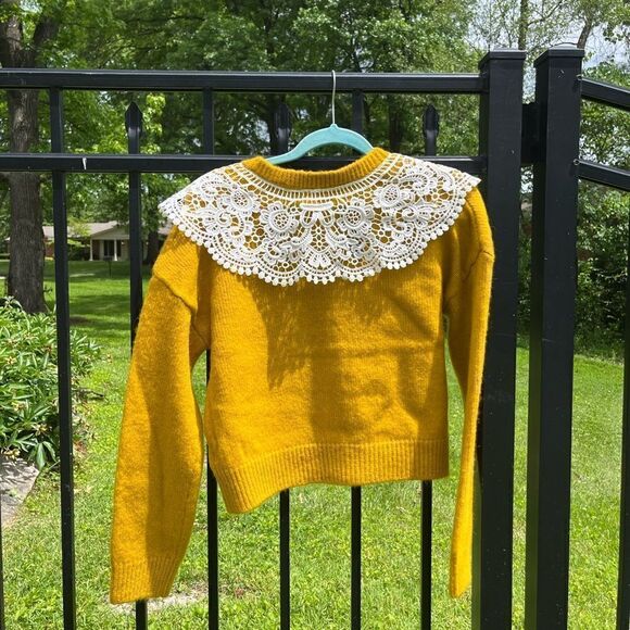 Anthropologie Maeve Lace Collar Cardigan Sweater NWT - Picture 6 of 9